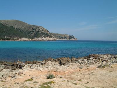 DSCF0116.JPG